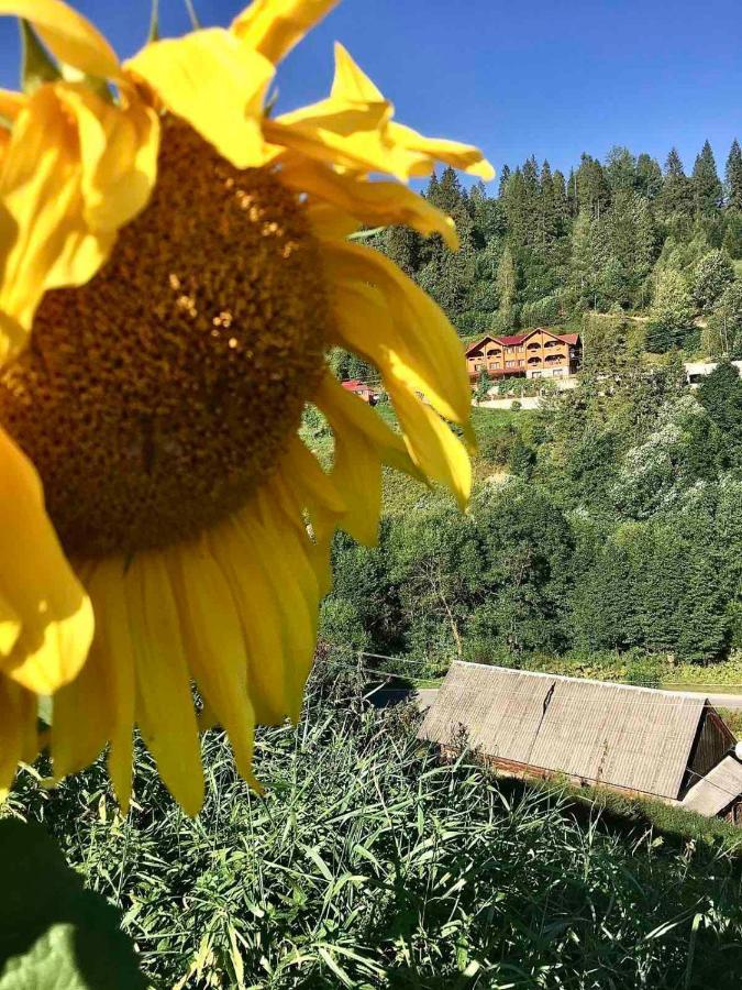Privatna Sadiba Chalet Орявчик Экстерьер фото