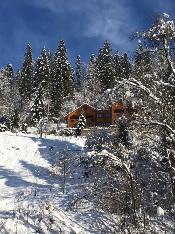 Privatna Sadiba Chalet Орявчик Экстерьер фото